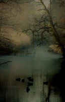 /album/fotos/a2004-1-small-jpg/